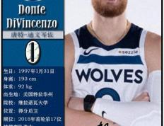 球星卡（NBA）：明尼苏达森林(lín)狼(láng)队17人一(yī)览（25/26赛季）
