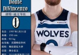 球星卡（NBA）：明尼苏达森林(lín)狼(láng)队17人一(yī)览（25/26赛季）