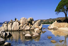 埃(āi)文(wén)-莫布利(lì)提前全场投篮，骑士与雄鹿交锋中的搞笑一幕